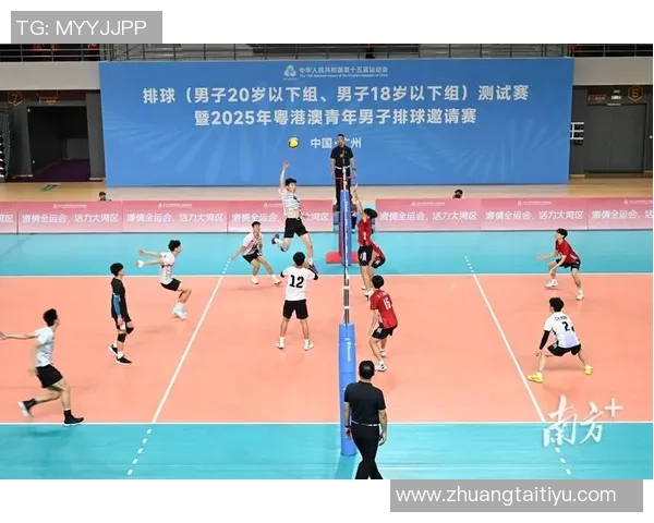 张军的排球之路：从赛场到人生的精彩对话